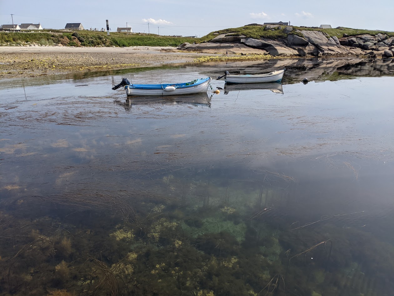 Muckross head
